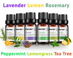 essential oil 6 pack starter fragrance set